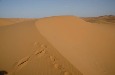 Sahara çöl manzara mavi gökyüzü ile. Dunes arka plan