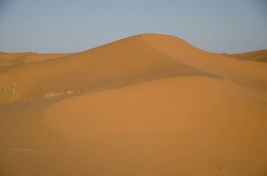 Sahara çöl manzara mavi gökyüzü ile. Dunes arka plan