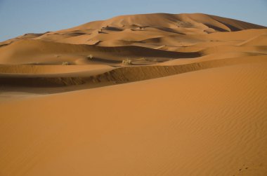 Sahara çöl manzara mavi gökyüzü ile. Dunes arka plan