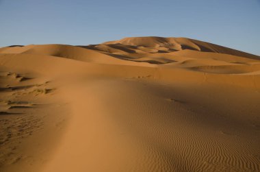 Sahara çöl manzara mavi gökyüzü ile. Dunes arka plan