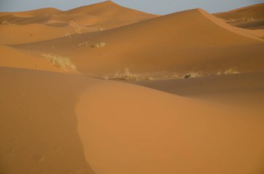 Sahara çöl manzara mavi gökyüzü ile. Dunes arka plan