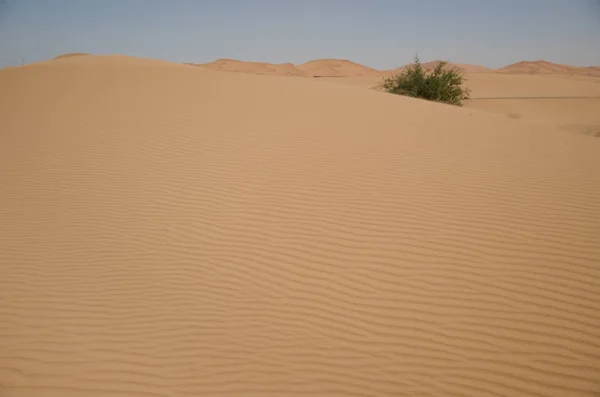 Sahara Paesaggio Desertico Con Cielo Blu Sfondo Delle Dune — Foto Stock