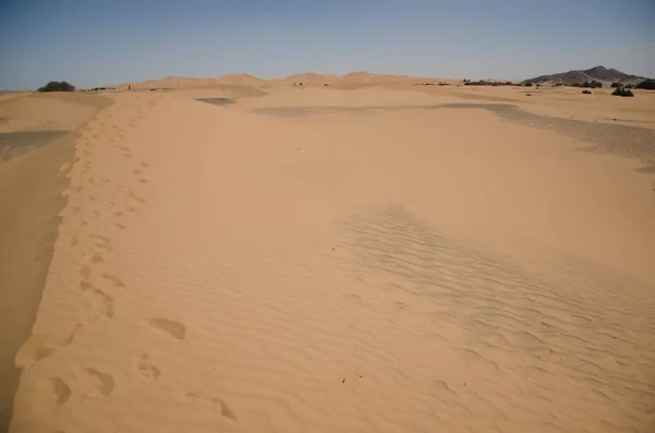 Paisaje Desierto Del Sahara Con Cielo Azul Fondo Dunas — Foto de Stock