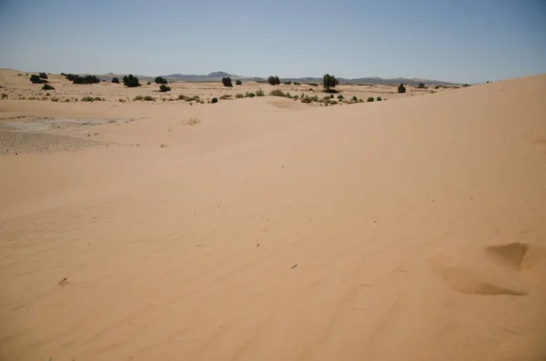 Sahara Paysage Désertique Avec Ciel Bleu Fond Des Dunes — Photo