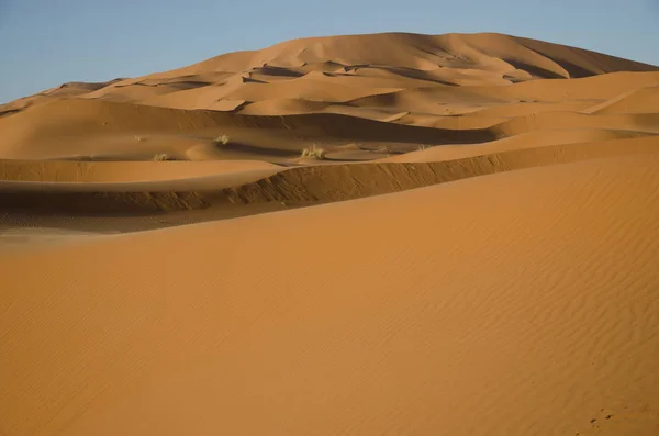 Sahara Paysage Désertique Avec Ciel Bleu Fond Des Dunes — Photo