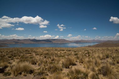 Puno, Peru 'da Lagunillas, Andes deniz seviyesinden 4413 metre yükseklikte 