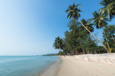 Koh Samui Tayland Lipanoi plaj güzel görünümü 