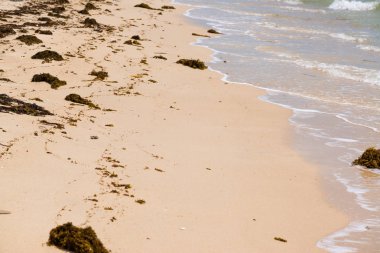 Tayland 'da zümrüt suyu ile güzel tropikal ada plaj. Tatil tatil konsepti