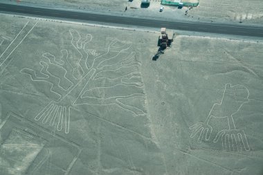 Nasca Hatları, Ağaç ve ellerin havadan görünümü. Nazca, Peru