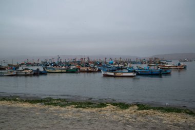 Paracas, Peru, yaklaşık Eylül 2017: Paracas Ulusal Rezervi, Peru. Rezerv'in temel amacı deniz ekosistemini ve tarihi kültürel mirası korumaktır.
