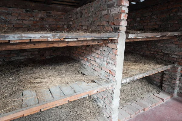 奥斯威辛比克瑙是波兰布热津卡奥斯韦西姆附近的前纳粹灭绝营 在其中一栋建筑里 囚犯的床很可怕 — 图库照片