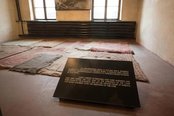 Auschwitz Birkenau Antiguo Campo Exterminio Nazi Brzezinka Polonia Cerca Oswiecim — Foto de Stock