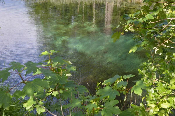 Национальный Парк Plitvice Lakes Хорватия — стоковое фото