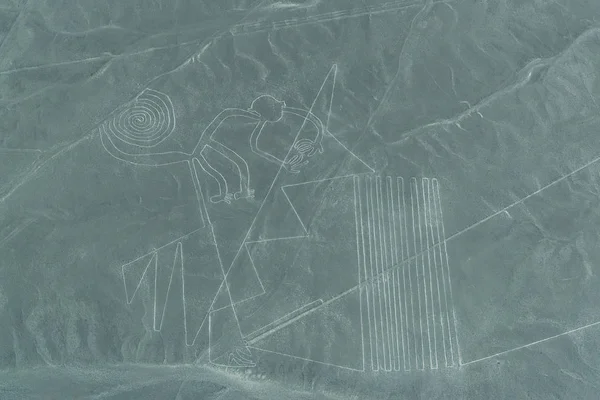 Aerial view of Nasca Lines, the Monkey. Nazca, Peru