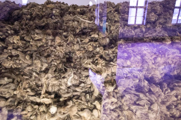 Oswiecim, Polonya-1 Mart 2015-toplama kampı Auschwitz II 1 Mart 2015 Oswiecim 'de eski bir Nazi imha kampı. Auschwitz II Avrupa 'nın en büyük Nazi toplama kampı oldu