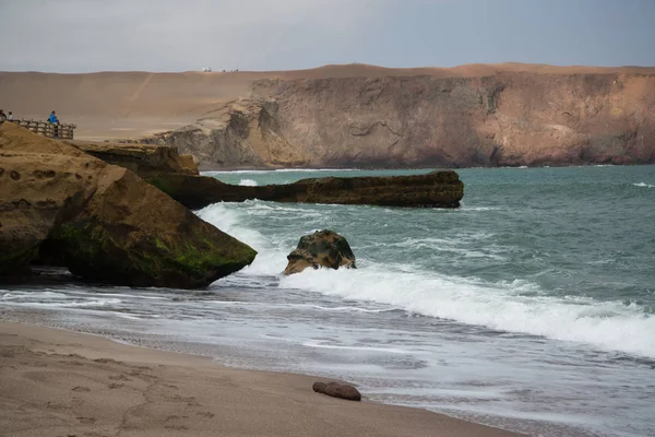 Reserva Nacional Paracas Perú Objetivo Principal Reserva Proteger Ecosistema Marino — Foto de Stock