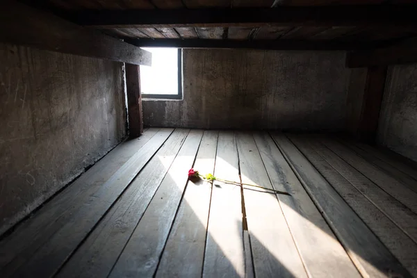 Oswiecim Polónia Janeiro 2014 Câmara Gás Colapso Campo Concentração Auschwitz — Fotografia de Stock