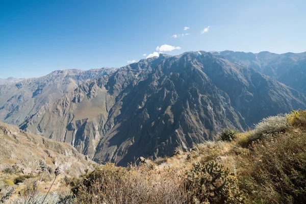Colca Canyon Canon Del Colca Peru Südamerika — Stockfoto