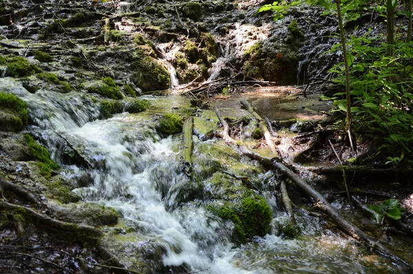 Parque Nacional Lagos Cascadas Plitvice Croacia — Foto de Stock