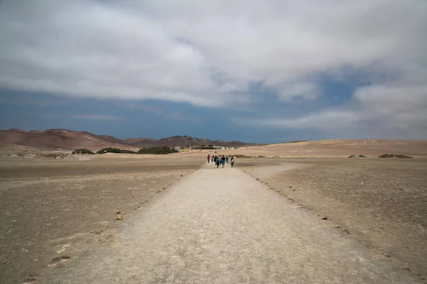 Paracas Perú Alrededor Septiembre 2017 Reserva Nacional Paracas Perú Objetivo Fotos De Stock