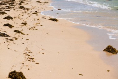 Tayland 'da zümrüt suyu ile güzel tropikal ada plaj. Tatil tatil konsepti