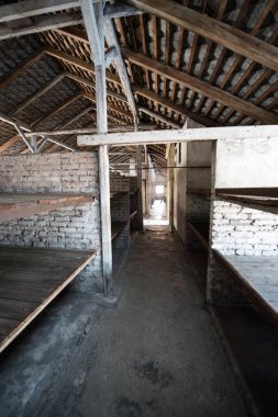 Auschwitz Birkenau, Oswiecim yakınlarındaki Polonya 'nın Brzezinka şehrinde eski bir Nazi imha kampı. Binalardan birinde mahkumların korkunç yatakları