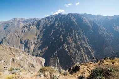 Colca Canyon (Canon Del Colca), Peru, Güney Amerika