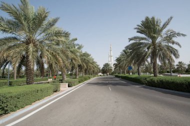 Abu Dabi, Birleşik Arap Emirlikleri - 15 Haziran 2014 - 15 Haziran 2014'te Abu Dabi'deki Şeyh Zayed Ulu Camii önünde palmiye ağaçları. Birleşik Arap Emirlikleri'nin en büyük camisidir.