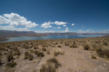 Puno, Peru 'da Lagunillas, Andes deniz seviyesinden 4413 metre yükseklikte 