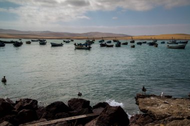 Paracas, Peru, yaklaşık Eylül 2017: Paracas Ulusal Rezervi, Peru. Rezerv'in temel amacı deniz ekosistemini ve tarihi kültürel mirası korumaktır.