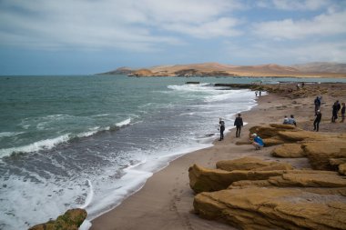 Paracas, Peru, yaklaşık Eylül 2017: Paracas Ulusal Rezervi, Peru. Rezerv'in temel amacı deniz ekosistemini ve tarihi kültürel mirası korumaktır.