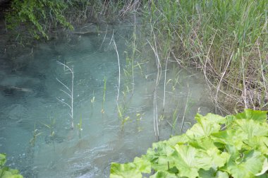 plitvice gölleri ulusal park, Hırvat 