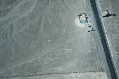 Nasca Hatları'nın havadan görünümü, Iguana. Nazca, Peru