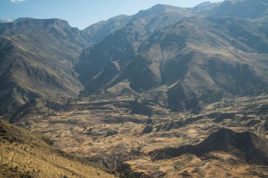 Colca Canyon (Canon Del Colca), Peru, Güney Amerika