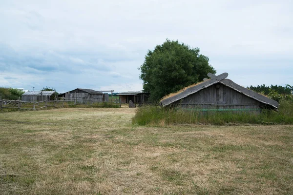 Foteviken Sweden Circa June 2016 Foteviken Viking Reservation Skansen Outdoor — Stock Photo, Image