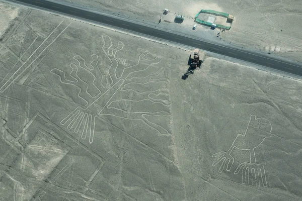 Nasca Hatları, Ağaç ve ellerin havadan görünümü. Nazca, Peru