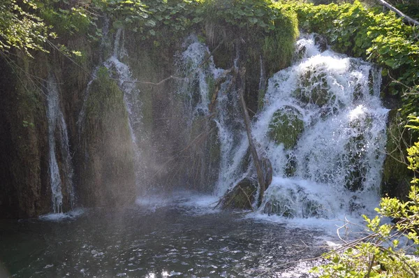 Plitvicei Tavak Vízesések Nemzeti Park Horvátország — Stock Fotó