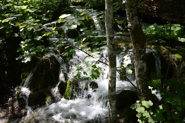 Parque Nacional Lagos Cascadas Plitvice Croacia — Foto de Stock