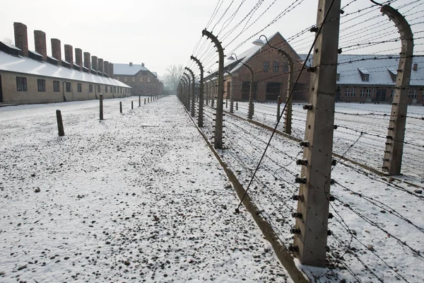 オシフィエンチム ポーランド 2014 元ナチス絶滅収容所アウシュビッツ 1月27日にヨーロッパで最大のオシフィエンチムで2014 — ストック写真