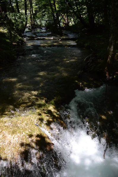 Parque Nacional Lagos Cascadas Plitvice Croacia — Foto de Stock