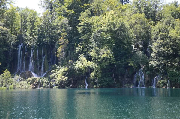 Plitvicei Tavak Vízesések Nemzeti Park Horvátország — Stock Fotó