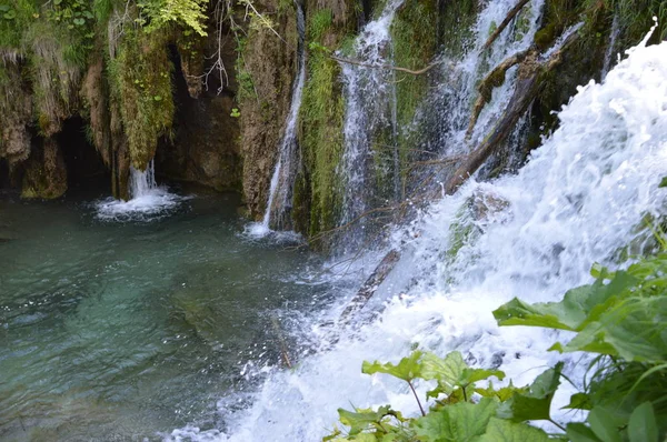 Plitvicei Tavak Vízesések Nemzeti Park Horvátország — Stock Fotó