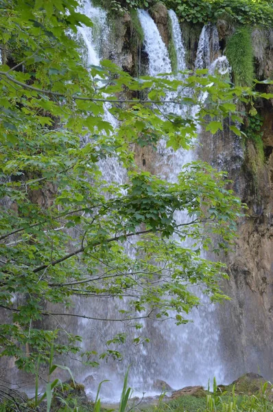 Parque Nacional Lagos Cascadas Plitvice Croacia — Foto de Stock