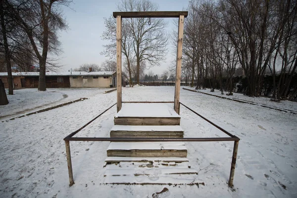 Oswiecim Polonia Enero 2014 Antiguo Campo Concentración Exterminio Nazi Auschwitz — Foto de Stock