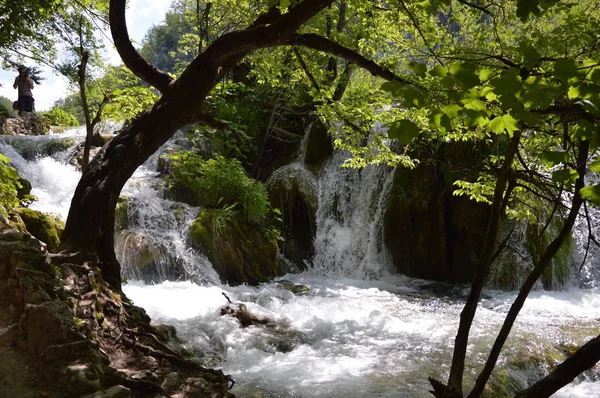 Parque Nacional Lagos Cascadas Plitvice Croacia — Foto de Stock