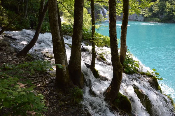 Plitvicemeren Watervallen Nationaal Park Kroatië — Stockfoto