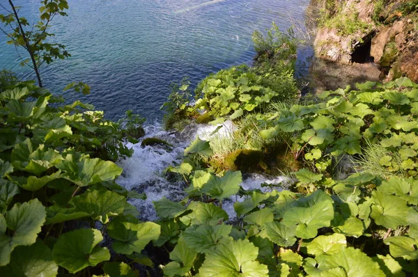 Parque Nacional Los Lagos Plitvice Croacia — Foto de Stock