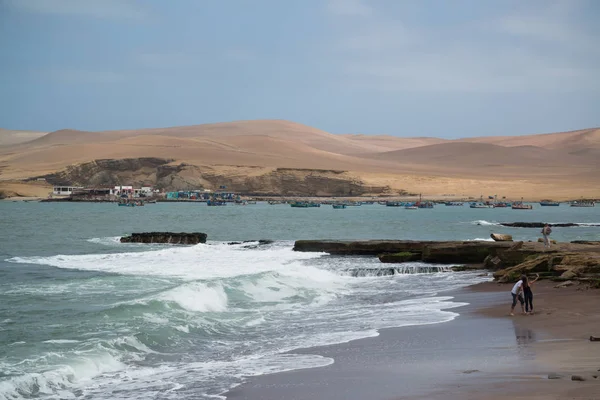 Paracas Perú Alrededor Septiembre 2017 Reserva Nacional Paracas Perú Objetivo Fotos De Stock Sin Royalties Gratis