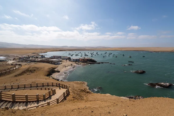 Paracas Perú Alrededor Septiembre 2017 Reserva Nacional Paracas Perú Objetivo Fotos De Stock