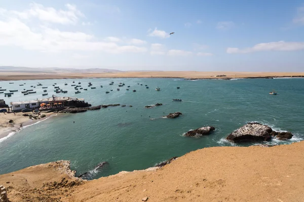 Paracas Perú Alrededor Septiembre 2017 Reserva Nacional Paracas Perú Objetivo Imagen De Stock